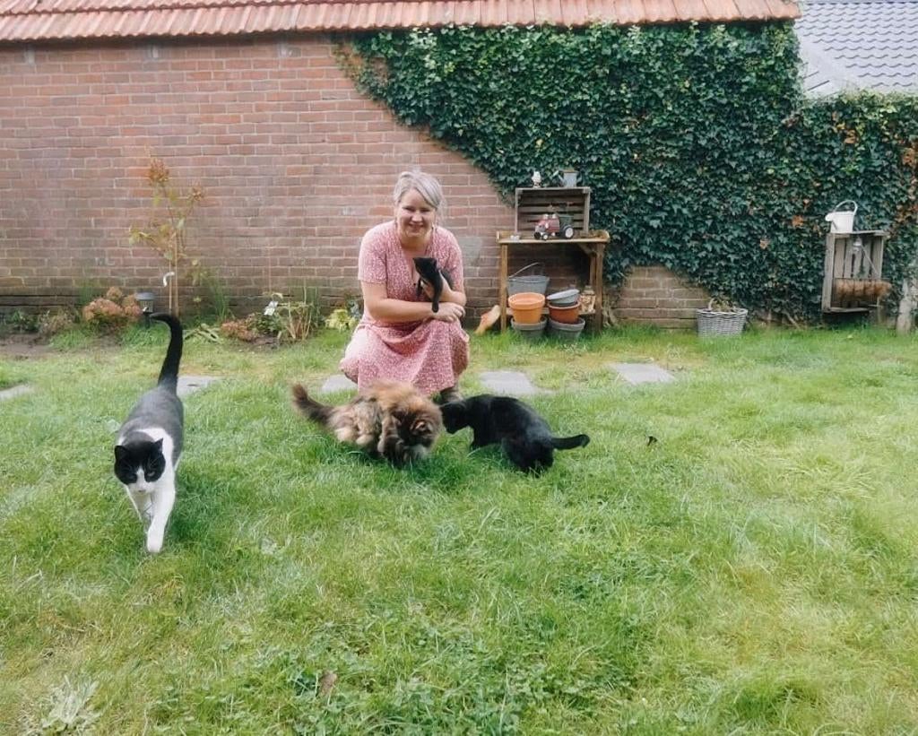 Kattenoppas - Weststellingwerf/Ooststellingwerf/Heerenveen, Particuliere oppas