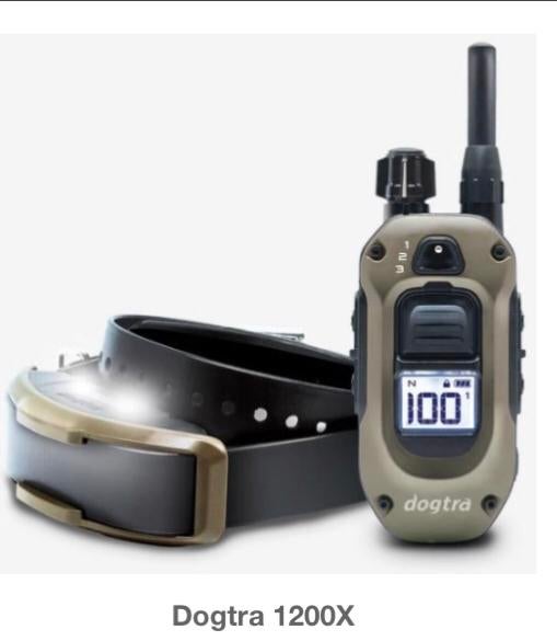 Dogtra correctieband, Dieren en Toebehoren, Ophalen of Verzenden, Nieuw