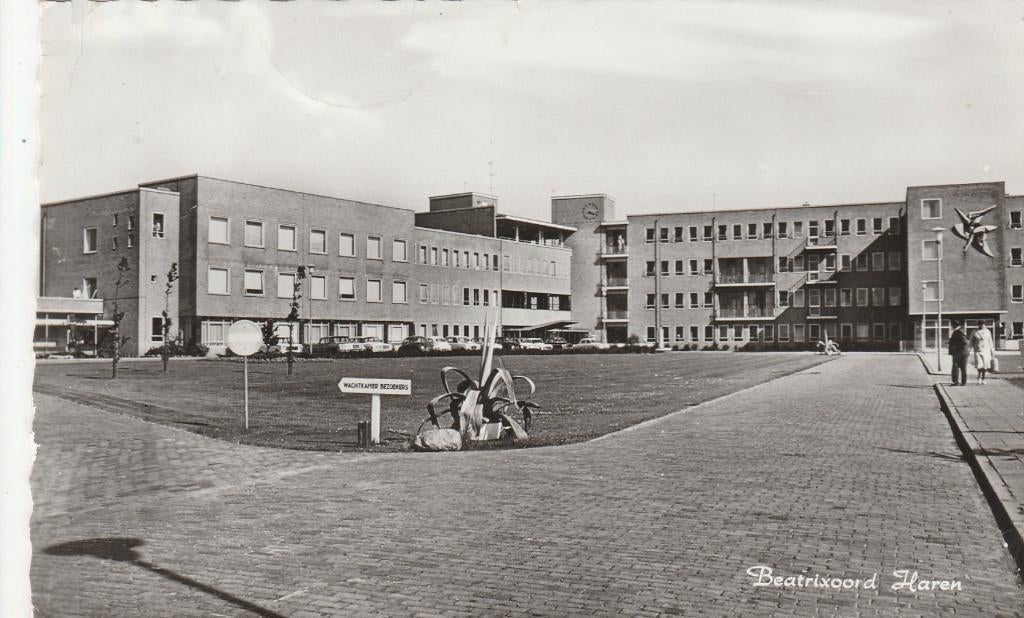 haren- beatrixoord, Ophalen of Verzenden, Voor 1920, Groningen