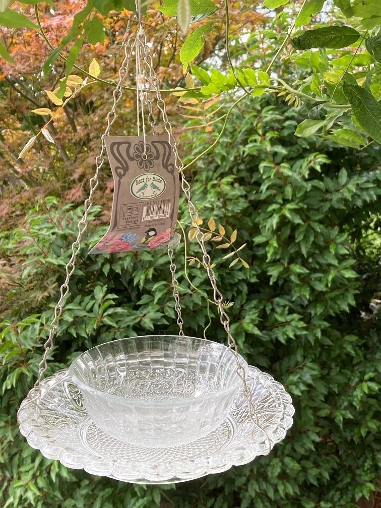 VOGEL VOEDERSCHAAL + KOM GLAS HELDER NIEUW, -, -, Nieuw, Ophalen of Verzenden