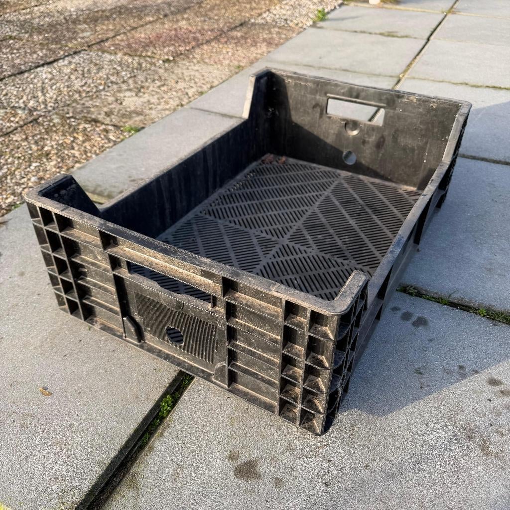 15x Bulbfust Stapelkratten Kratten Bakken Krat 60x40x18cm, Doe-het-zelf en Verbouw, Kratten en Dozen, Ophalen, Gebruikt, 40 tot 60 cm
