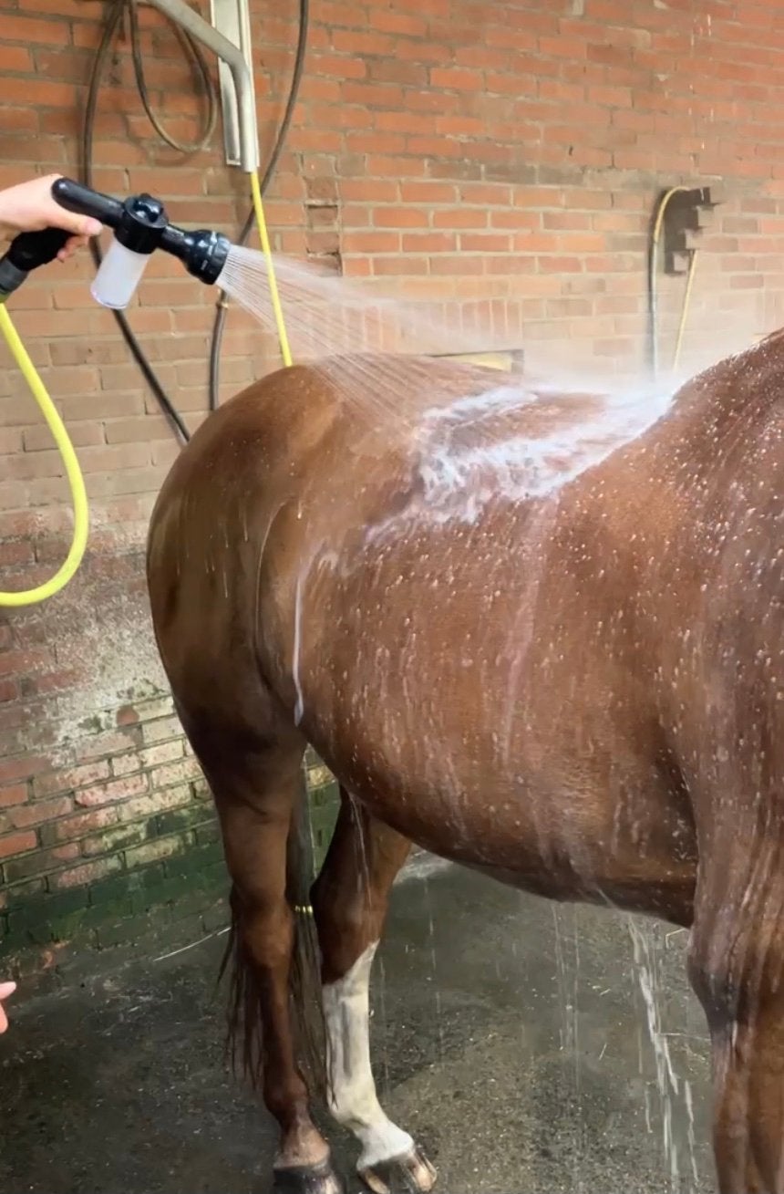 Nozzle water gun €9,95 wassen van je paard of pony, Dieren en Toebehoren, Ophalen of Verzenden, Nieuw, Overige typen