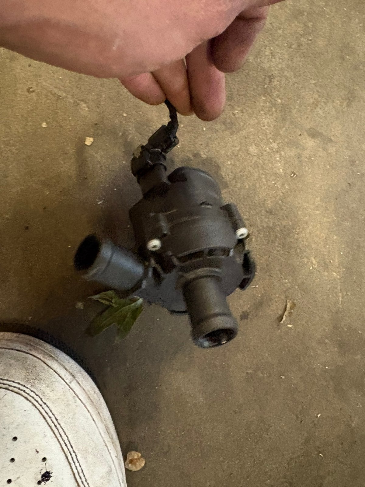 Elektrische 12v waterpomp Scooter/aerox, Ophalen of Verzenden, Nieuw
