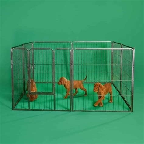 Grote puppy ren of andere dieren 120cm hoog, Ophalen of Verzenden