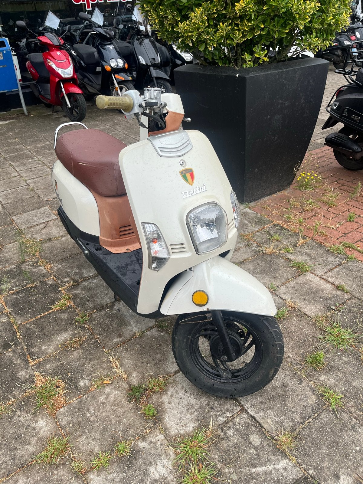 Berini 4t Snor scooter - Rijd goed, kleine mankementen, Ophalen, Gebruikt, Benzine, Overige merken