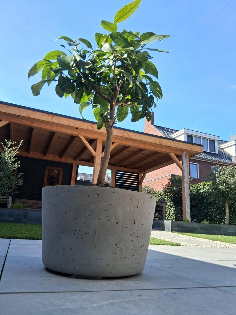 Betonnen bloempot, Tuin en Terras, Bloempotten, 40 cm of meer, Rond, Nieuw, Ophalen of Verzenden