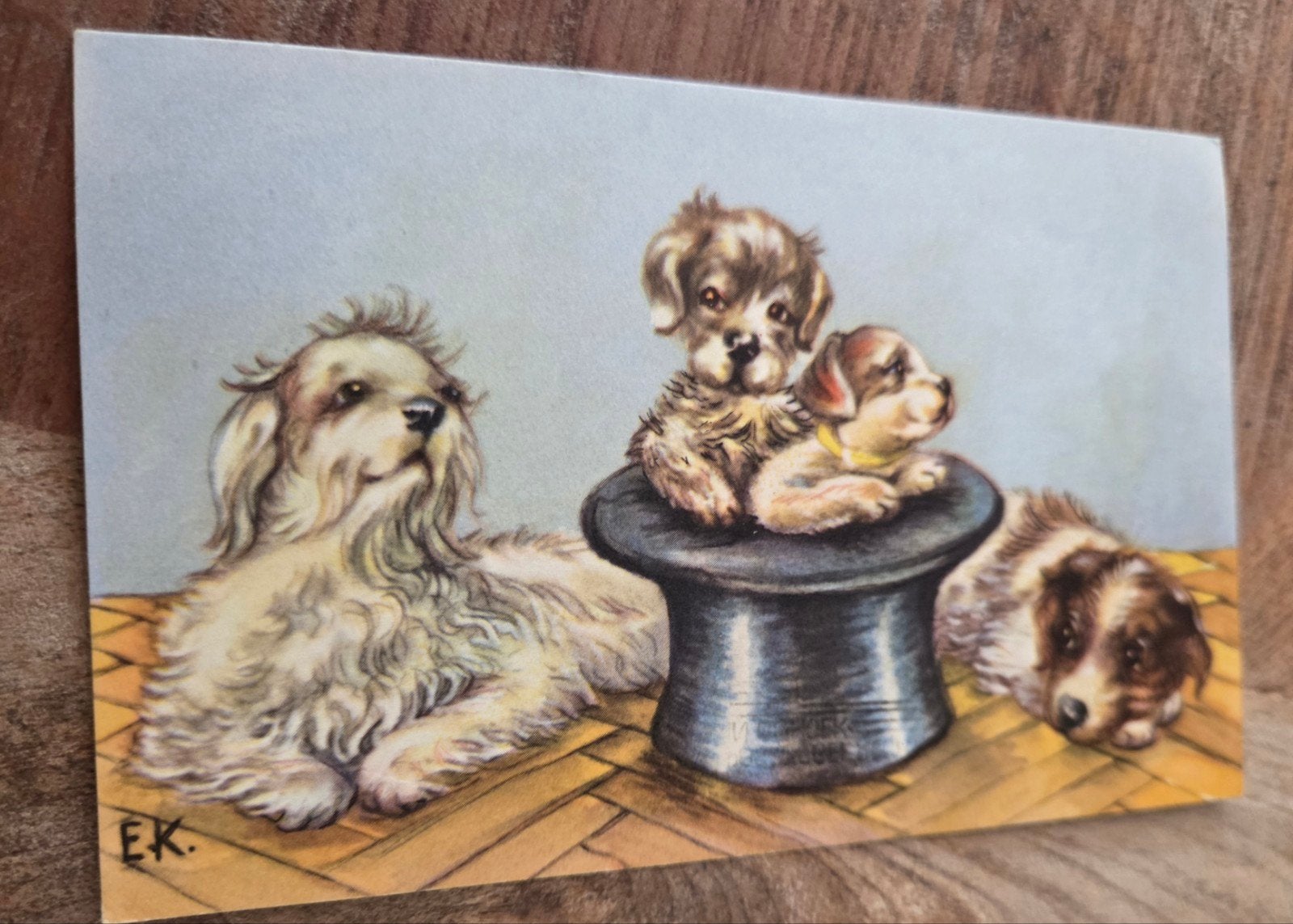 Oude ansichtkaart met schattige puppy's en hoge hoed, Verzenden, 1940 tot 1960, Gelopen, Overige thema's