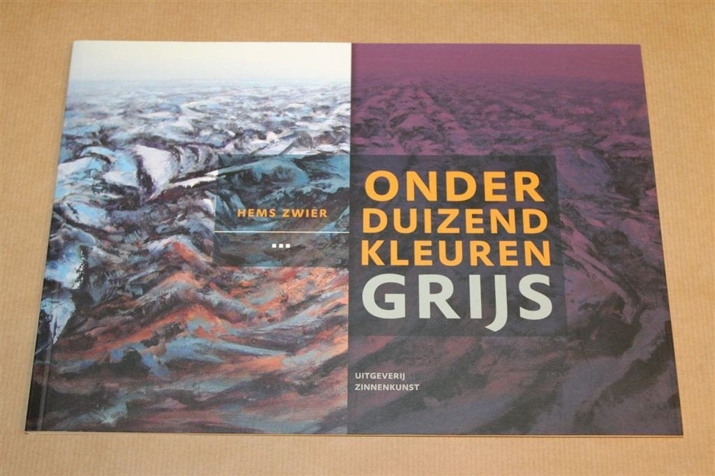 Onder Duizend Kleuren Grijs —Schilderijen Hogeland Groningen, Boeken, Ophalen of Verzenden, Zo goed als nieuw