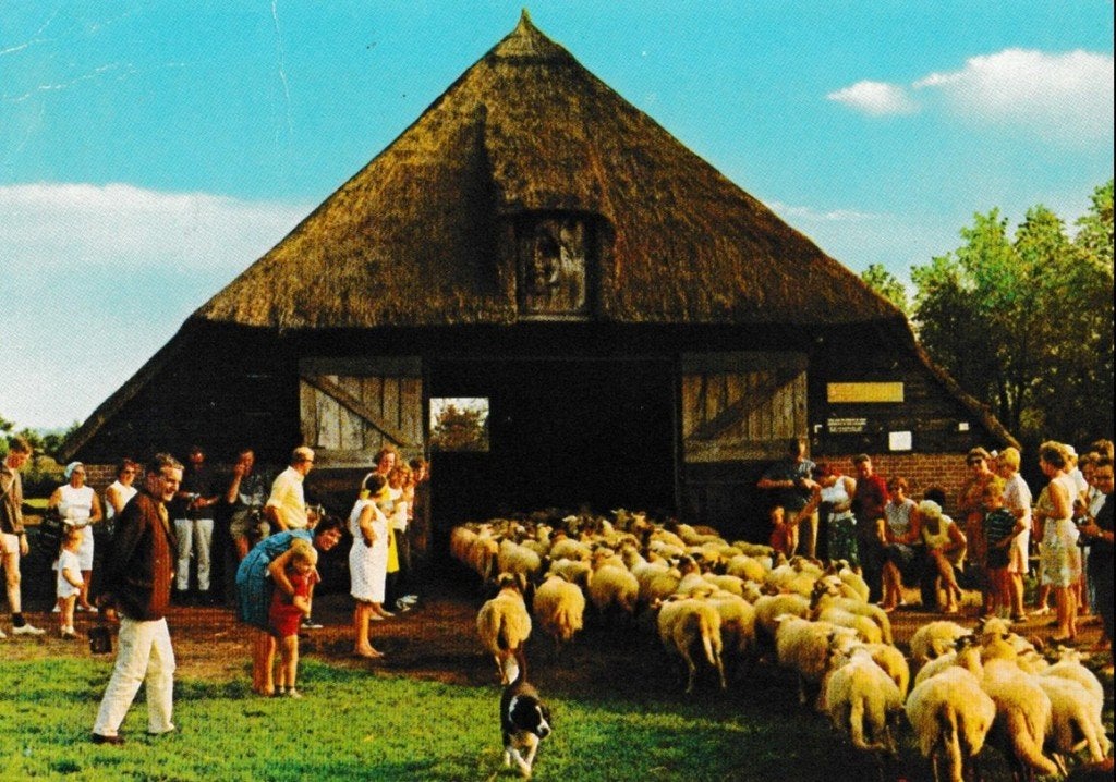 Drente     606, Ophalen of Verzenden, Voor 1920
