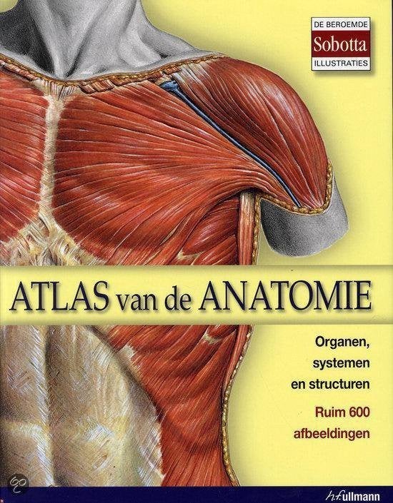 Atlas van de Anatomie H.F. Ullmann, Boeken, Ophalen of Verzenden, Alpha, Zo goed als nieuw, HBO