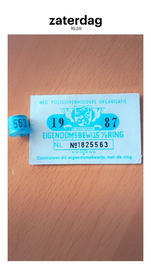 1987 duivenring met bewijs postduiven, Ophalen of Verzenden, Vogel, Overige typen