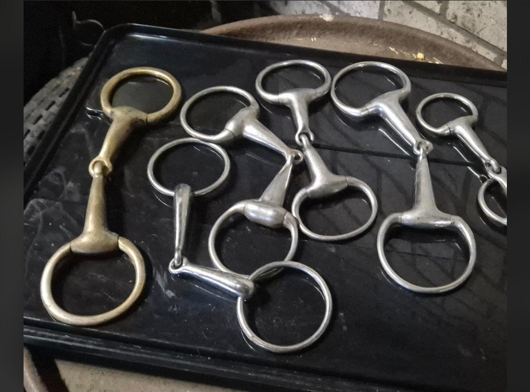 6 bitten voor 15,-, Dieren en Toebehoren, Ophalen of Verzenden