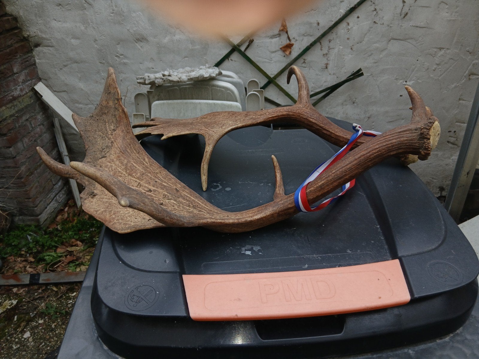 verzamelen/dierenverzameling, Ophalen of Verzenden, Beeldje of Figuurtje