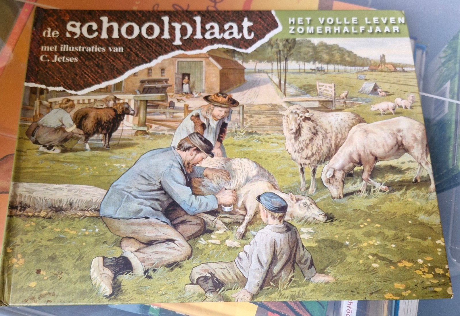 De Schoolplaat - Het volle leven - zomerhalfjaar, Ophalen of Verzenden
