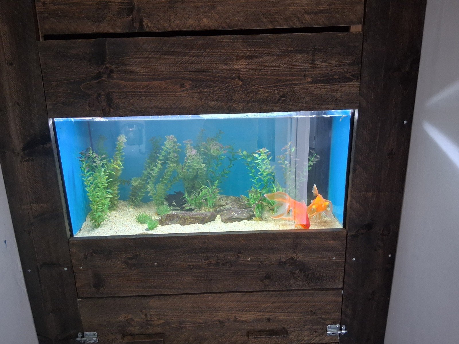 juwel aquarium 80x35x40cm, Ophalen, Gebruikt, Gevuld zoetwateraquarium