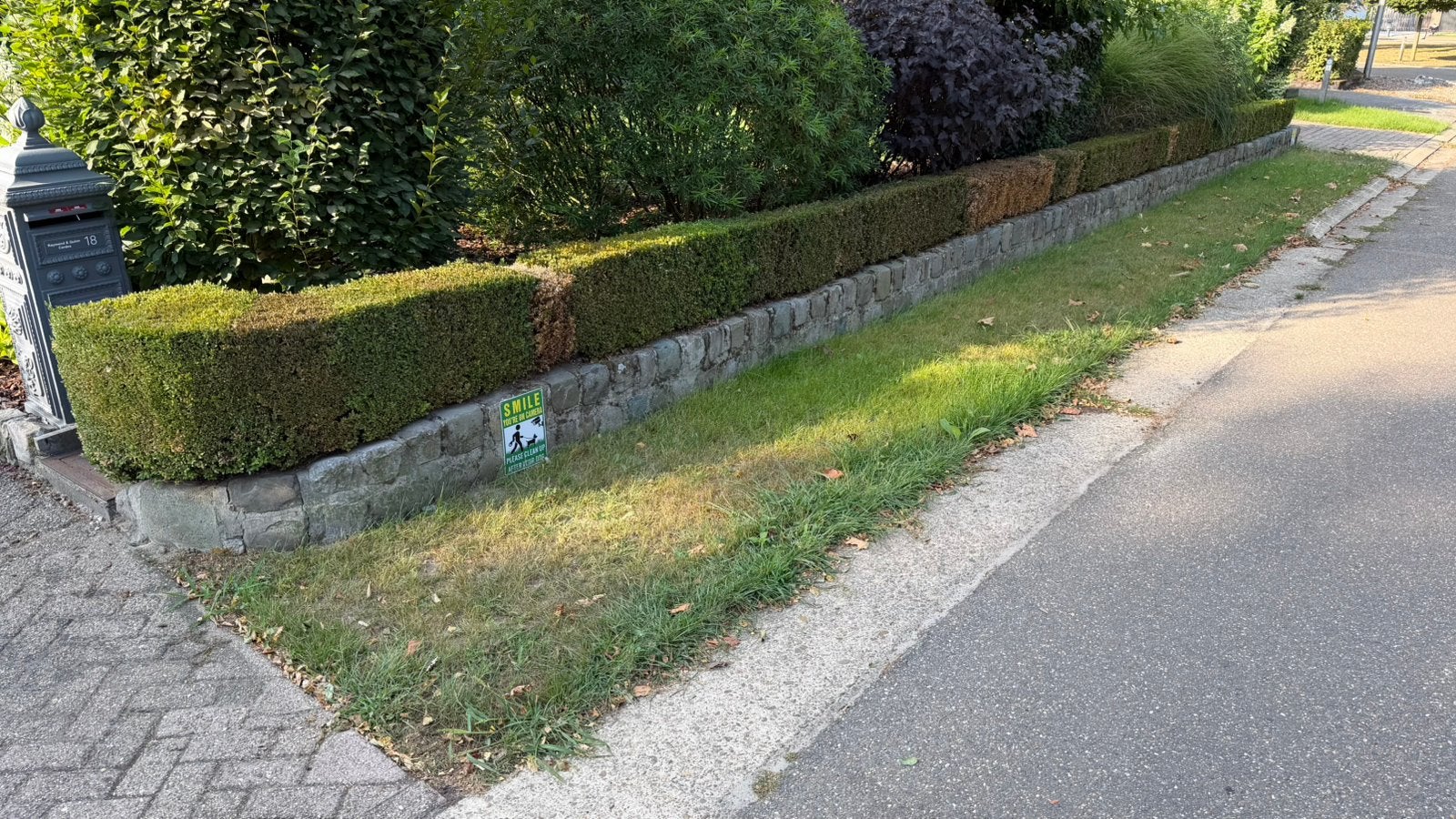 18 meter Buxushaag | Zelf uitgraven | Direct beschikbaar, Ophalen, Buxus, Haag, Minder dan 100 cm