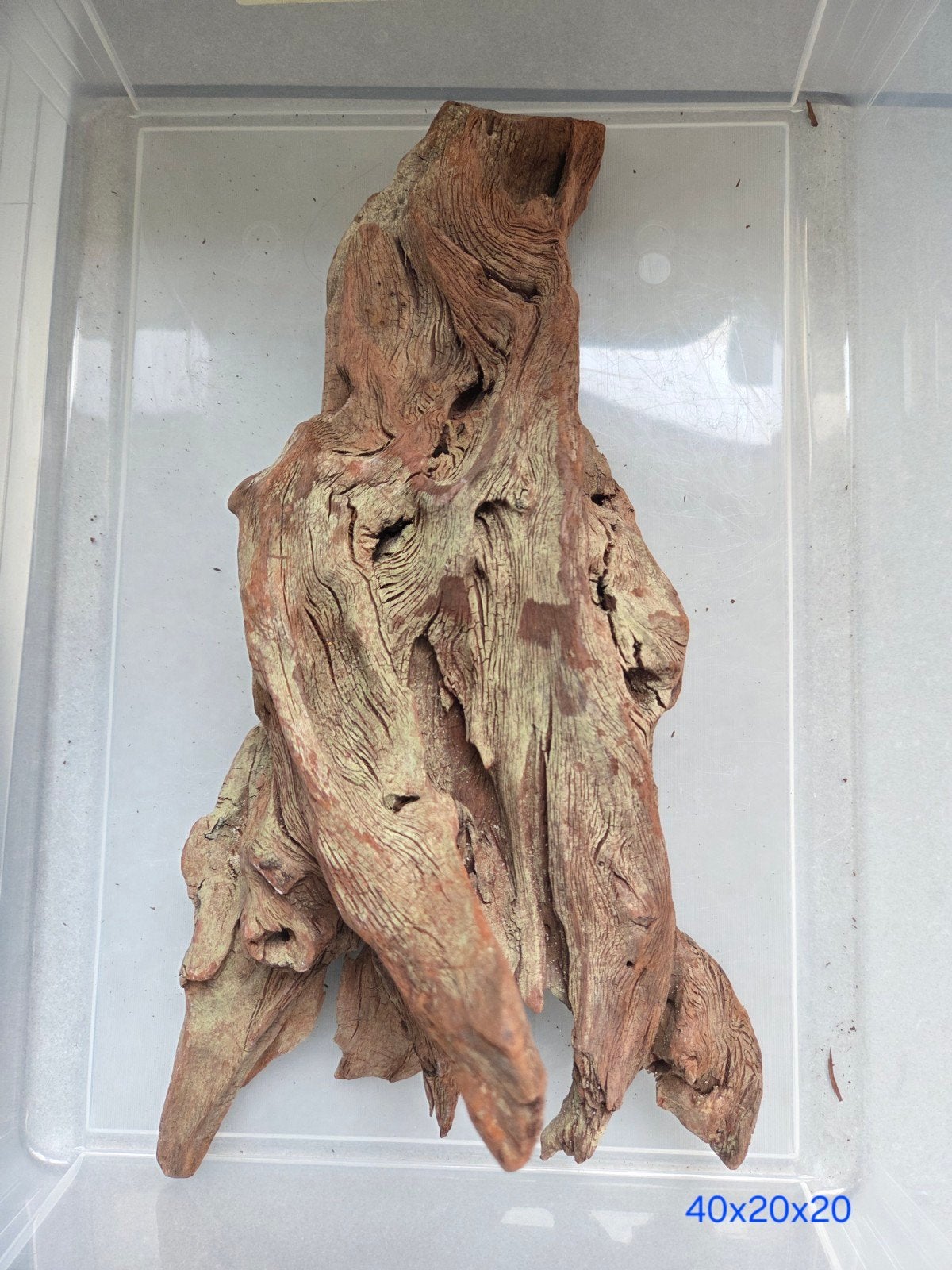 uniek aquarium decoratie hout, Dieren en Toebehoren, Vissen | Aquaria en Toebehoren, Ophalen of Verzenden, Zo goed als nieuw, Plant(en), Steen of Hout