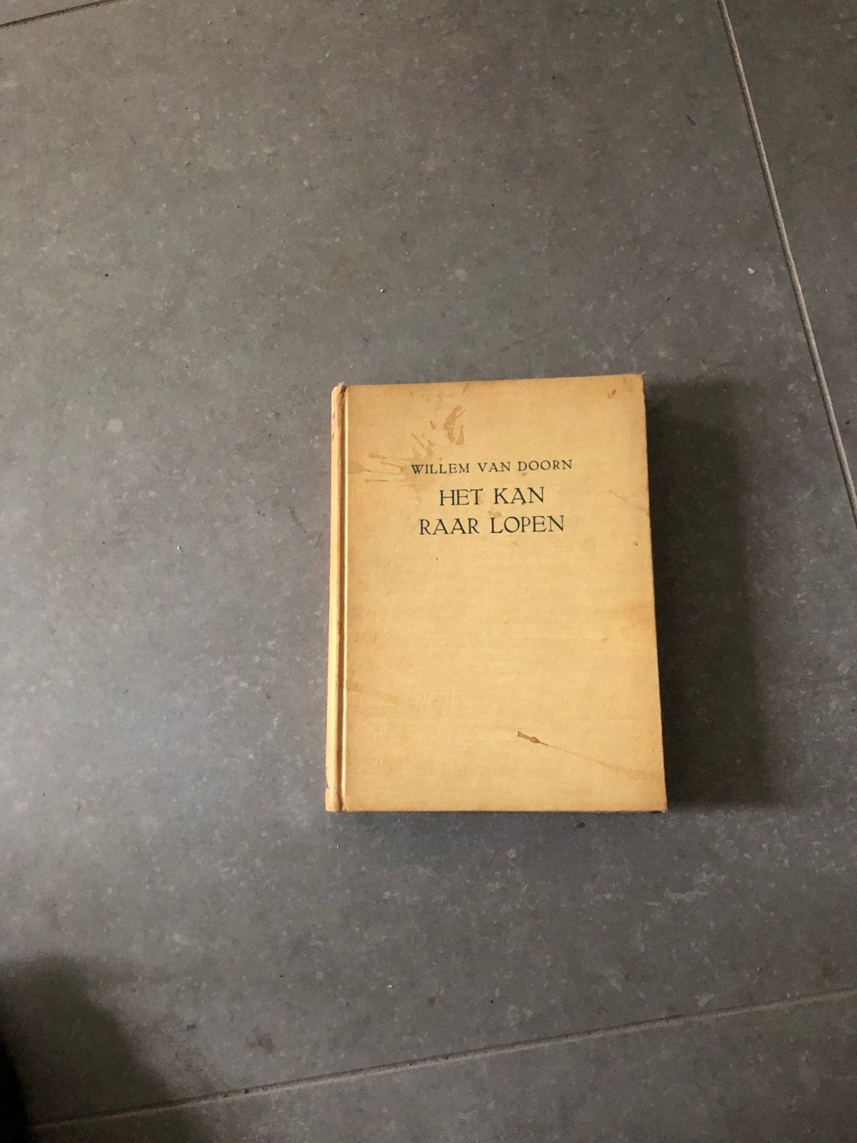 Willem van Doorn - Het Kan Raar Lopen (1948), Ophalen of Verzenden, Gelezen, Nederland