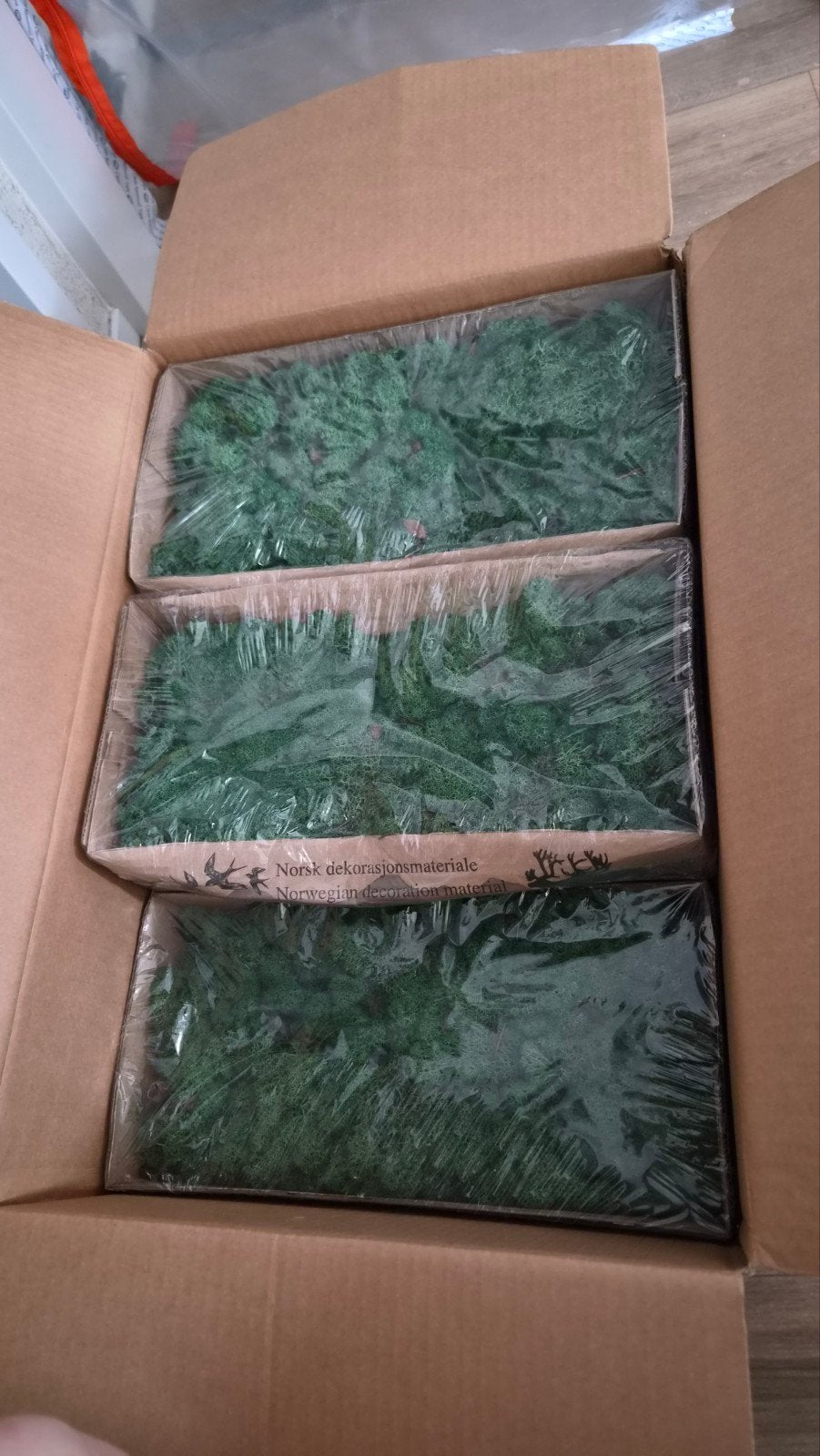Ijslands mos 5 dozen Decoratief mos voor diverse toepassing, Ophalen of Verzenden, Nieuw