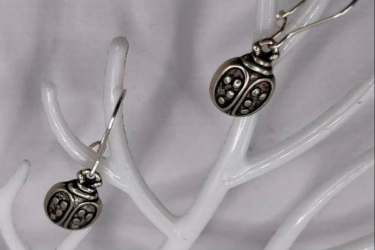 Zilverkleurige Oorbellen Lieveheersbeestje Fashion Sieraden, Overige materialen, Hangers, Nieuw, Ophalen of Verzenden