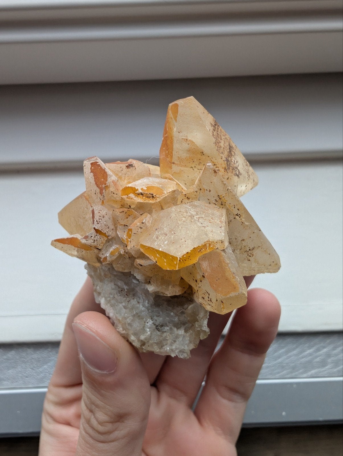 Calciet uit de la Sambre groeve in België, Ophalen of Verzenden, Mineraal