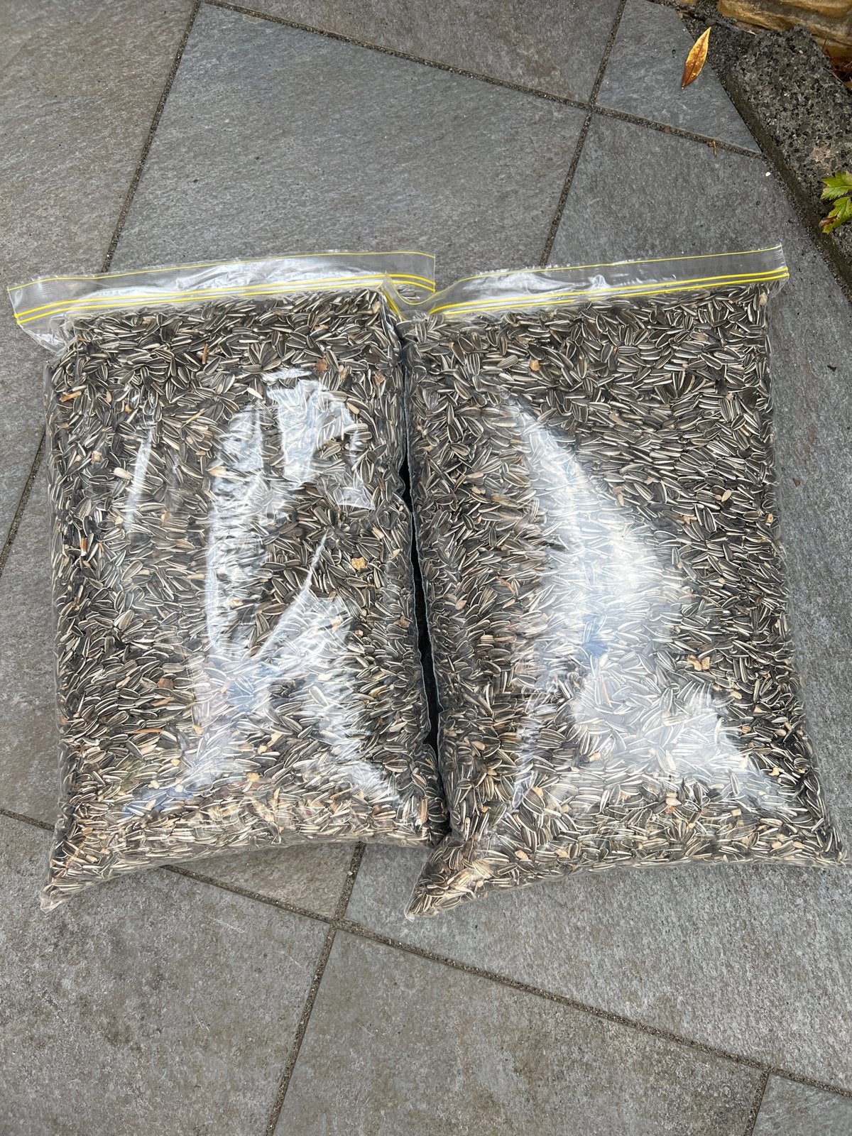 20KG. in totaal  gestreepte zonnebloempitten., Dieren en Toebehoren, Dierenvoeding, Ophalen of Verzenden, Vogel