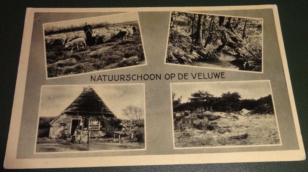 Veluwe - Natuurschoon - Vierluik - KPN01, Verzenden, 1920 tot 1940, Gelopen, Gelderland