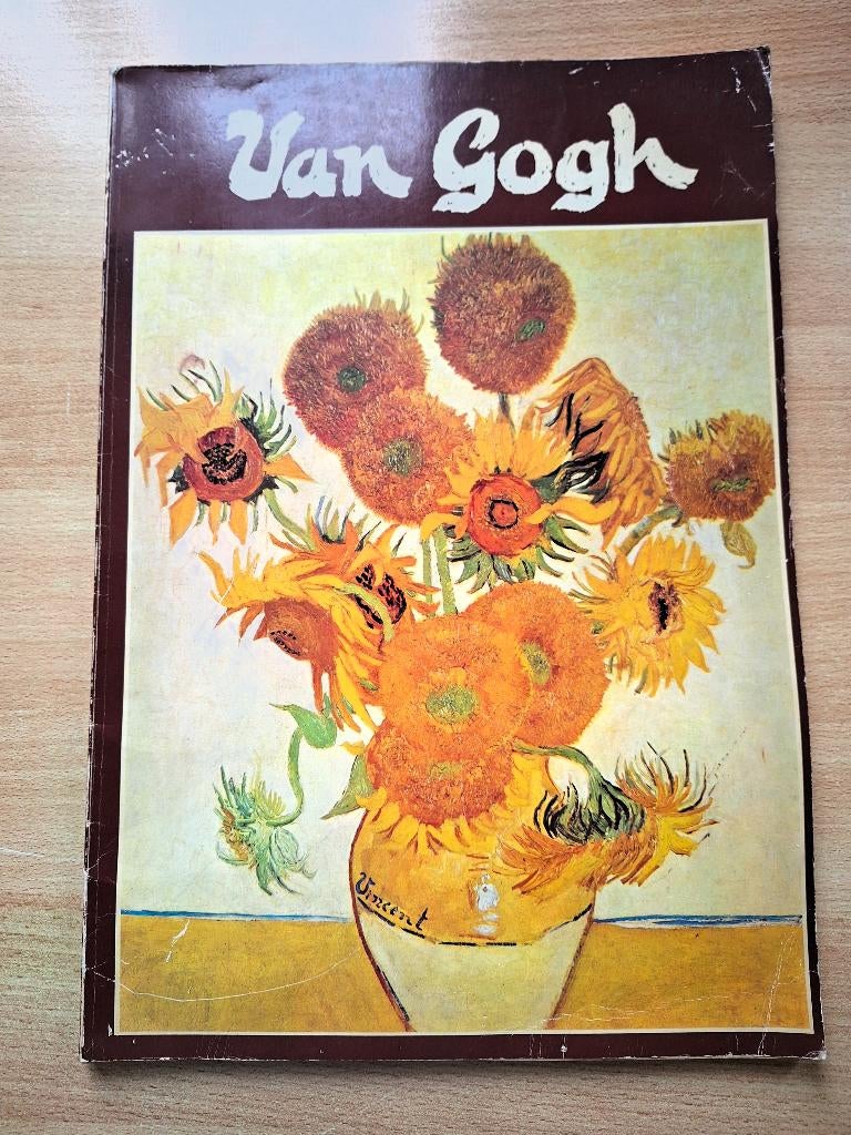 Van Gogh - De Haan Kunst Kijkboeken op posterformaat, Boeken, Kunst en Cultuur | Beeldend, Ophalen of Verzenden, Gelezen, Beeldhouwkunst