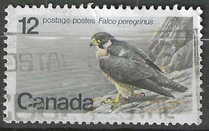 Canada 1977 - Yvert 654 - De Slechtvalk - 12 c. (ST), Postzegels en Munten, Postzegels | Amerika, Gestempeld, Noord-Amerika, Verzenden