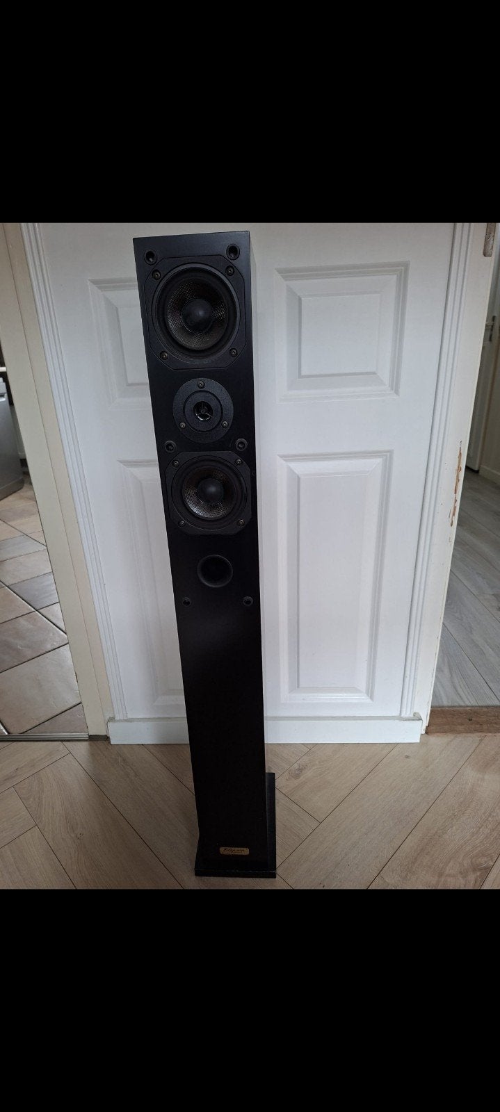 Elipson Elegance 1 NM Vloerstaande Luidsprekers (2x), Audio, Tv en Foto, Vloerstaande luidspreker, Gebruikt, 60 tot 120 watt, Ophalen