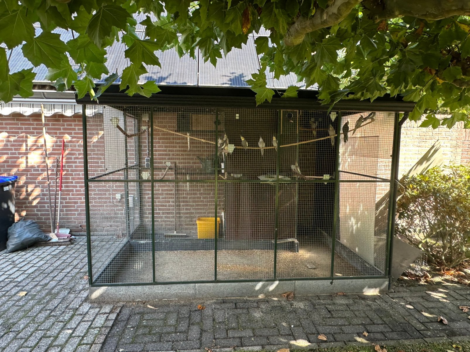 Mooie grote aluminium voliere, vogelkooi, kattenren, Ophalen, Gebruikt, Aluminium, Volière