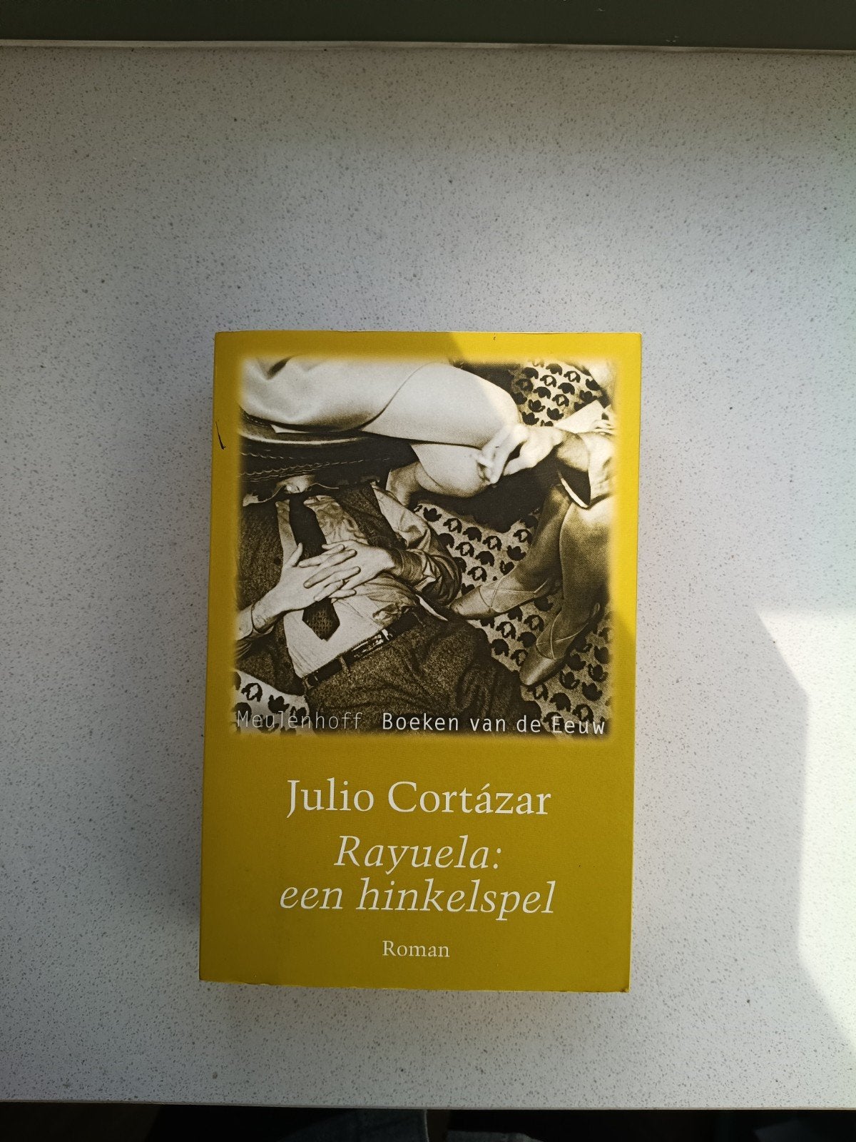 Rayuela: Een Hinkelspel - Julio Cortázar, Ophalen of Verzenden, Gelezen