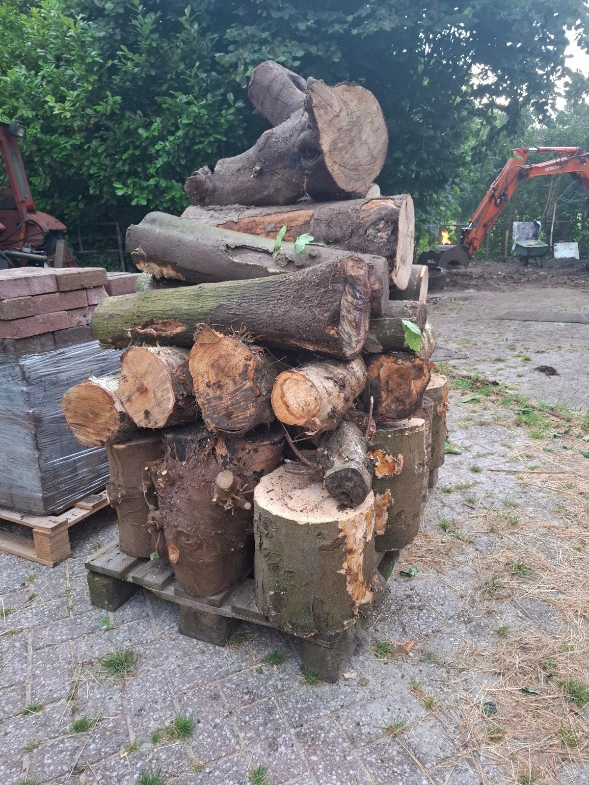 Diverse takken en houtblokken voor brandhout, Minder dan 3 m³, Ophalen, Overige houtsoorten, Takken