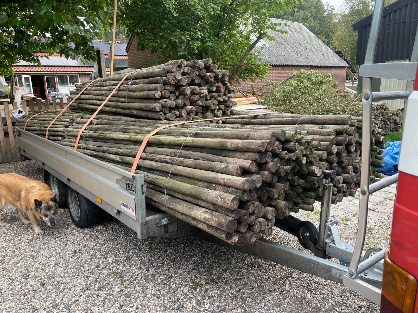 Boompalen, Tuin en Terras, Ophalen, Gebruikt, 250 cm of meer, Palen