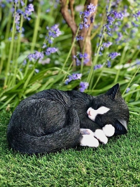Beelden Katten, slapende, staande en dromende katten., Ophalen of Verzenden, Nieuw, Dier