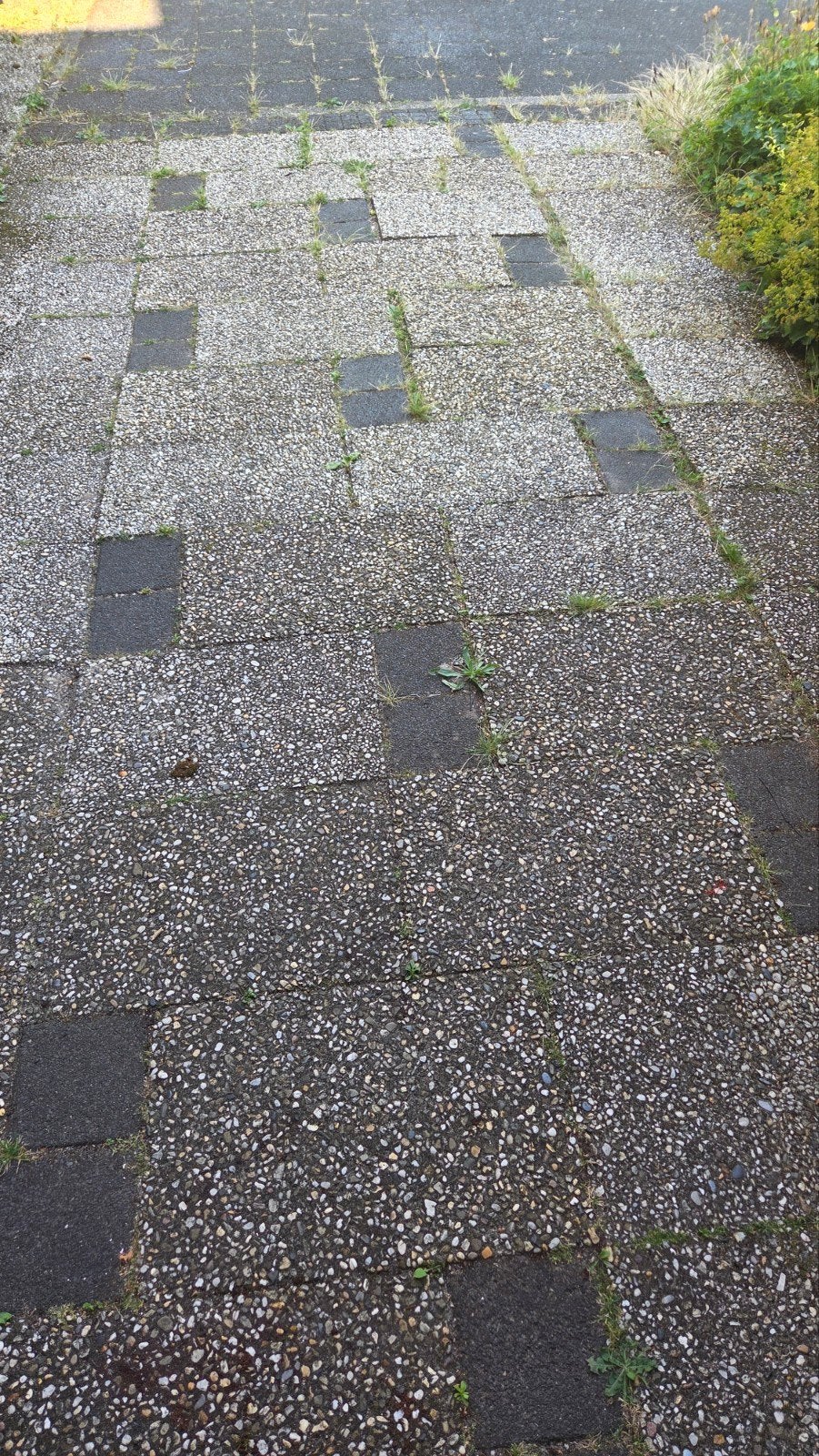 GRATIS grindtegels en betontegels voor tuin of pad, Ophalen, Overige materialen, Gebruikt, Overige typen