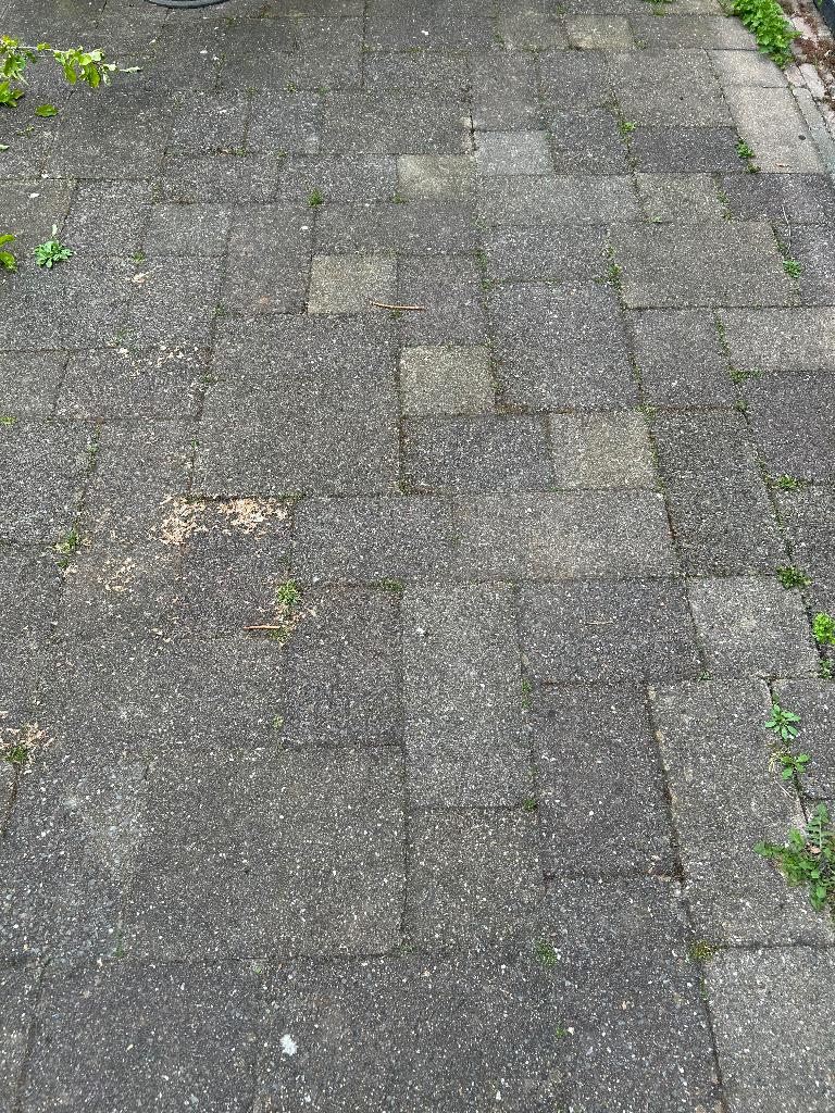 Terrastegels, Tuin en Terras, Ophalen, Gebruikt, 10 m² of meer, Beton