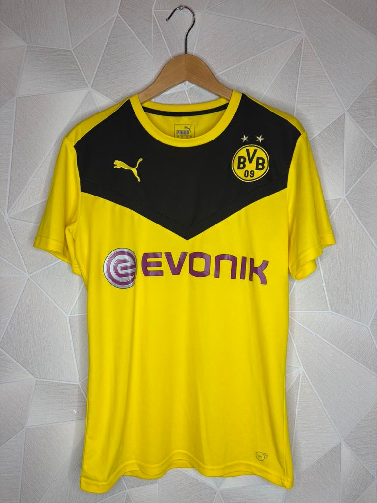 Borussia Dortmund Training 2015/2016, Maat M, Ophalen of Verzenden, Zo goed als nieuw, Shirt