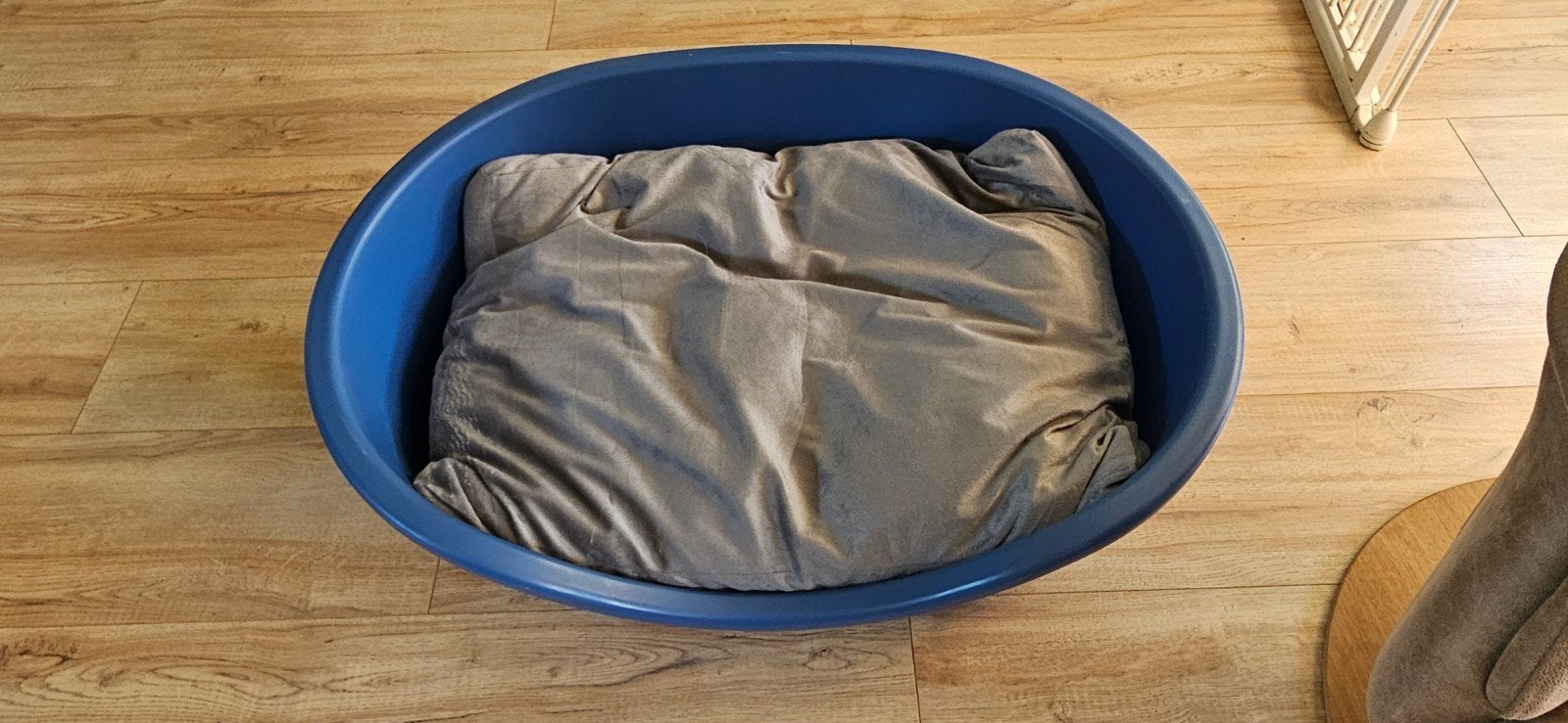 Marchioro Perla hondenmand blauw 90 cm met kussen, Overige merken, Ophalen, Zo goed als nieuw, Hondenmand
