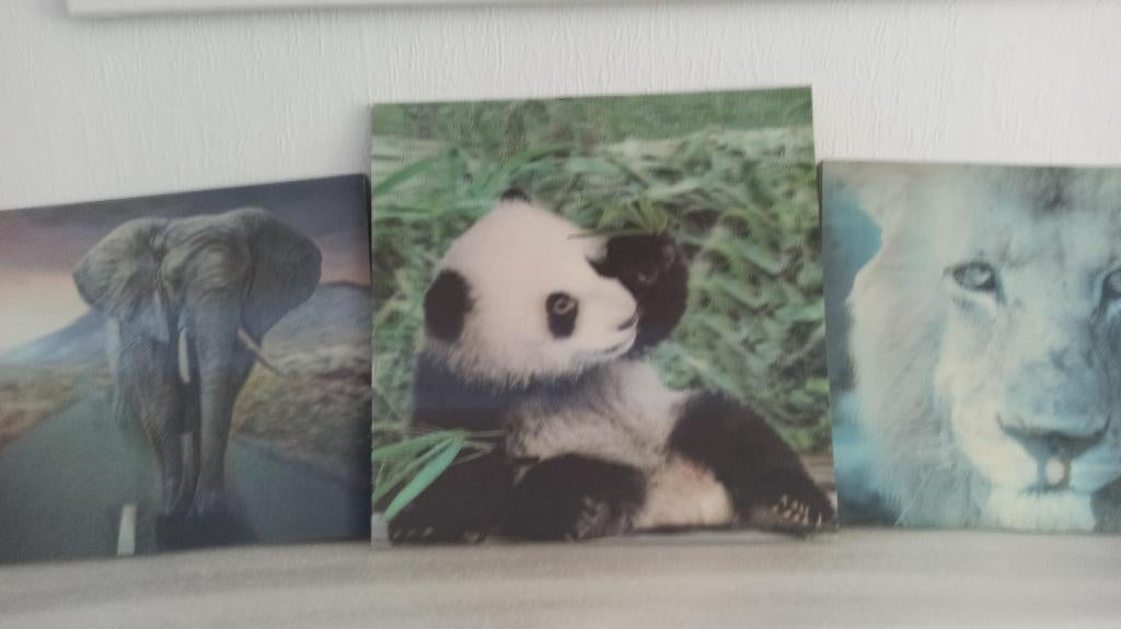 3D schilderij Olifant, Leeuw of Panda, Ophalen of Verzenden, Zo goed als nieuw, Minder dan 50 cm, Overige typen