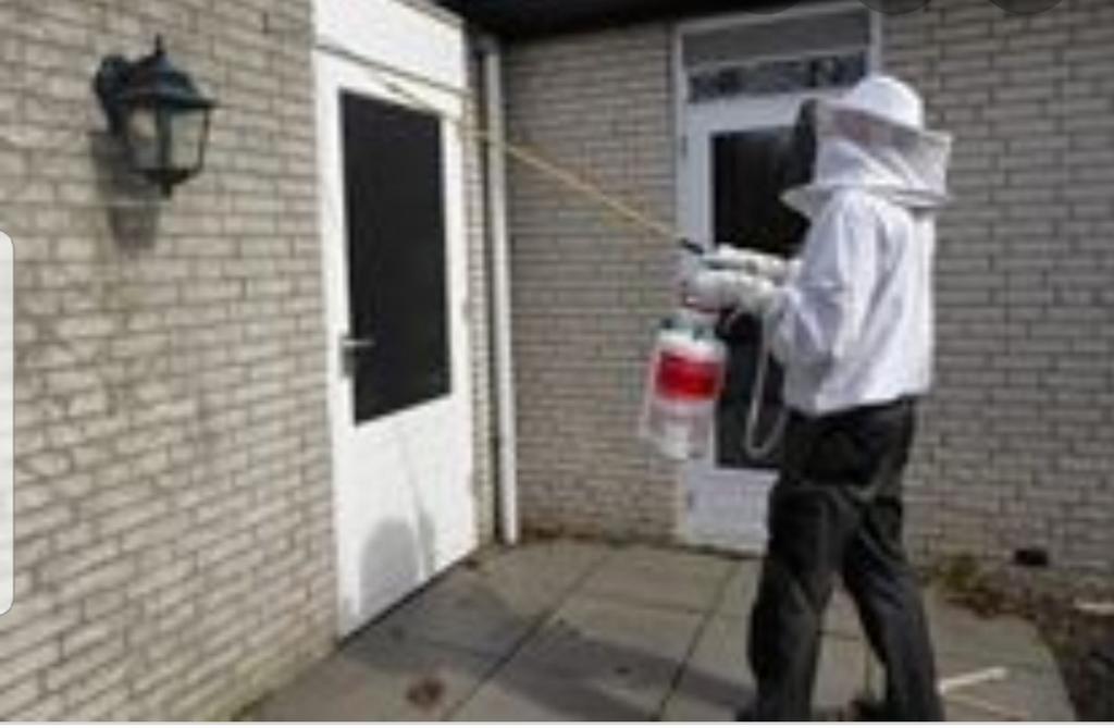 Wespen overlast? Wespen bestrijding, Dieren en Toebehoren