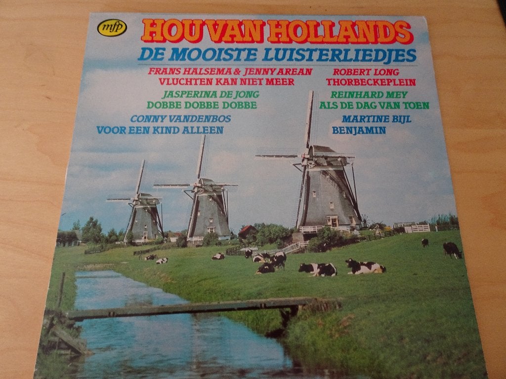 Hou van Hollands, Cd's en Dvd's, LP, Gebruikt, Ophalen of Verzenden, 12 inch