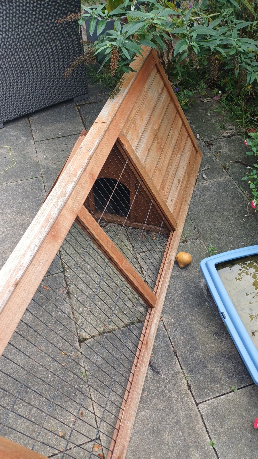 konijnenren, Dieren en Toebehoren, Ren, Ophalen, Minder dan 60 cm, 110 cm of meer