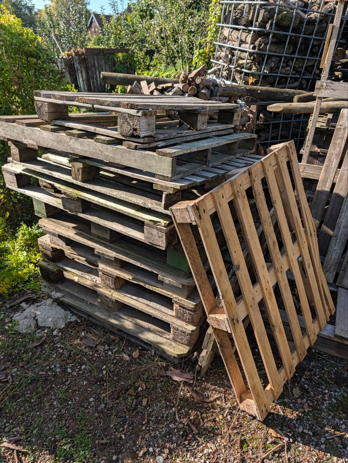 gratis Pallets, glas/kozijnen bok e, Ophalen, Gebruikt, 50 mm of meer, Pallet