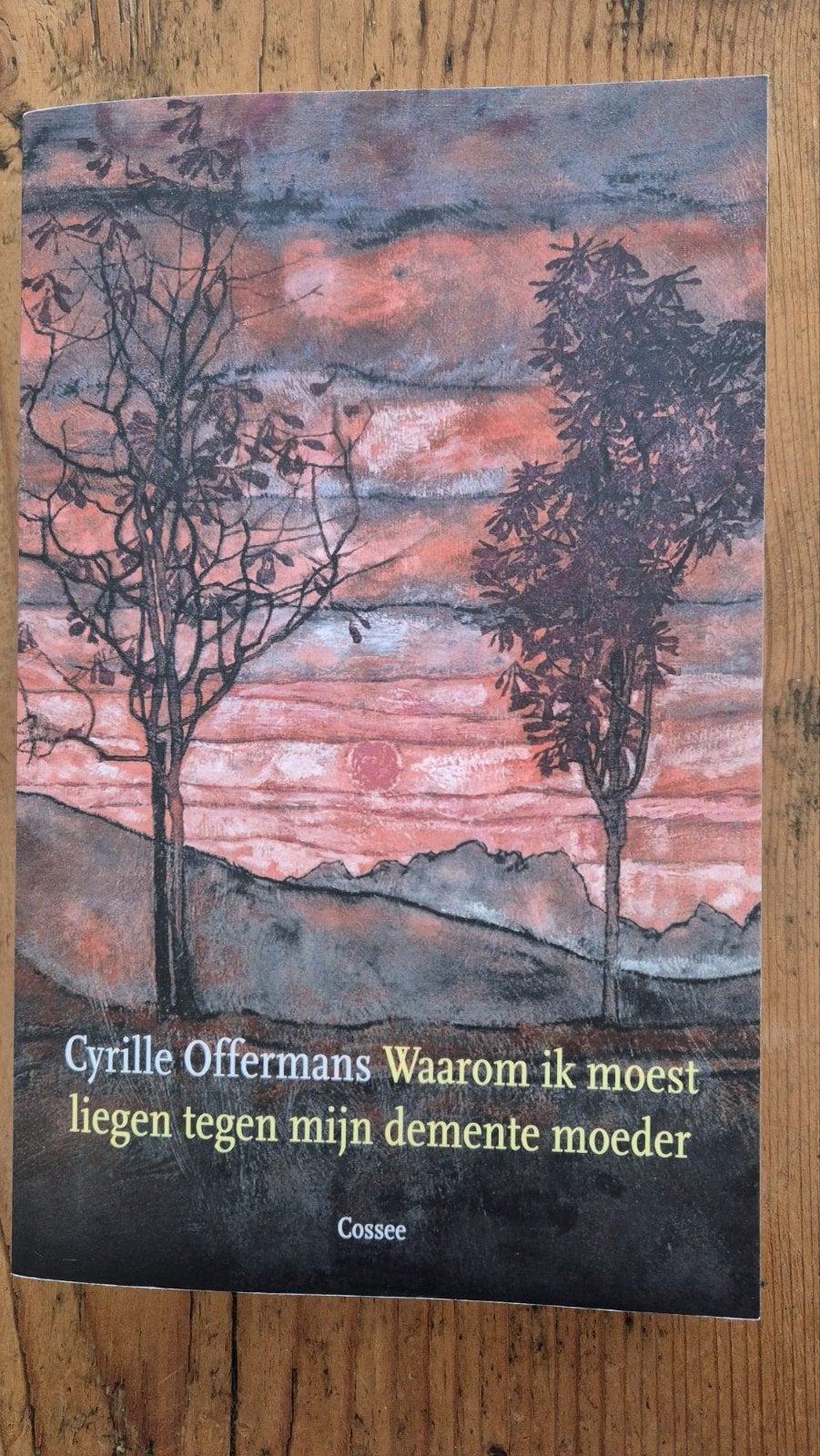 Waarom ik moest liegen tegen mijn demente moeder., Ophalen of Verzenden, Zo goed als nieuw, Overige onderwerpen