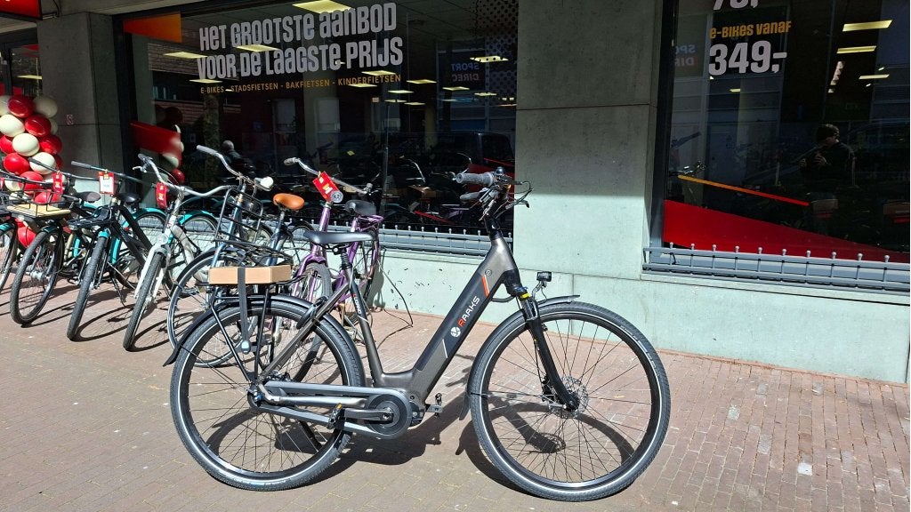 Fietshokje Raaks: Raaks Lugano Elektrische Fiets N8 V
