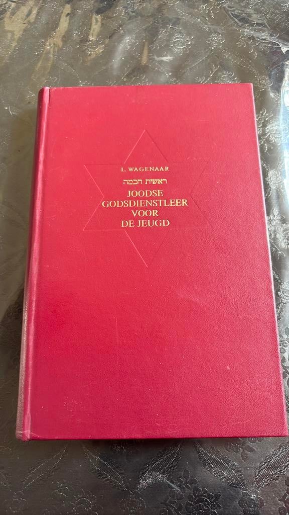 Joodse godsdienstleer voor de jeugd, Ophalen of Verzenden, Gelezen, Jodendom