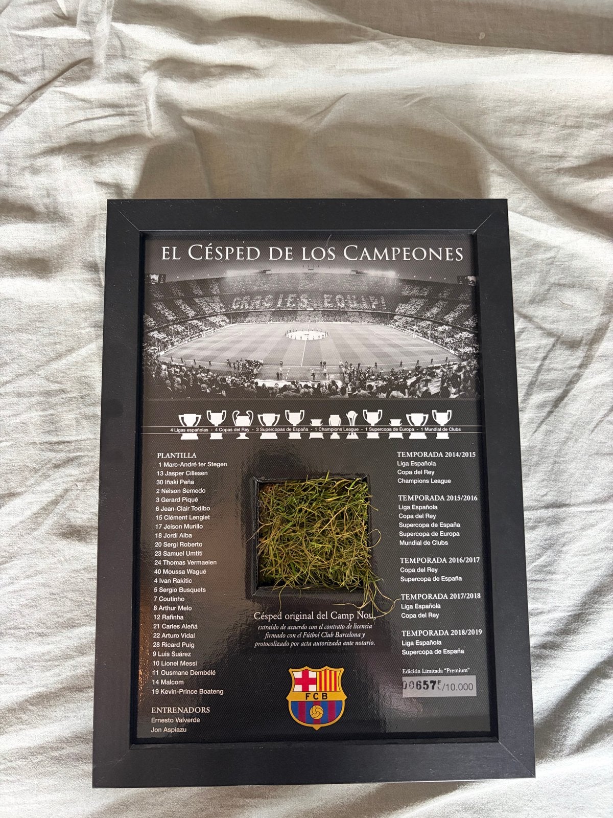 FC Barcelona Camp Nou gras - Limited Edition, Ophalen of Verzenden, Zo goed als nieuw, Buitenlandse clubs, Overige typen