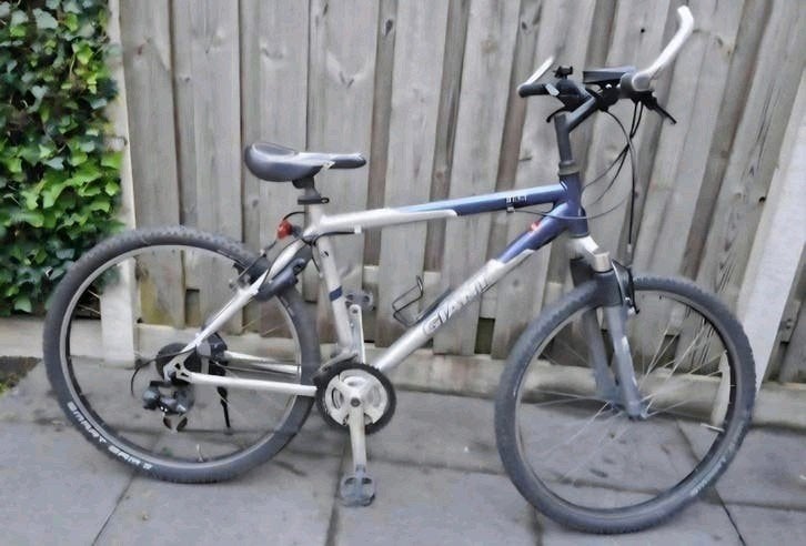 Mountainbike, Fietsen en Brommers, Ophalen, Minder dan 10 versnellingen, Gebruikt, Giant