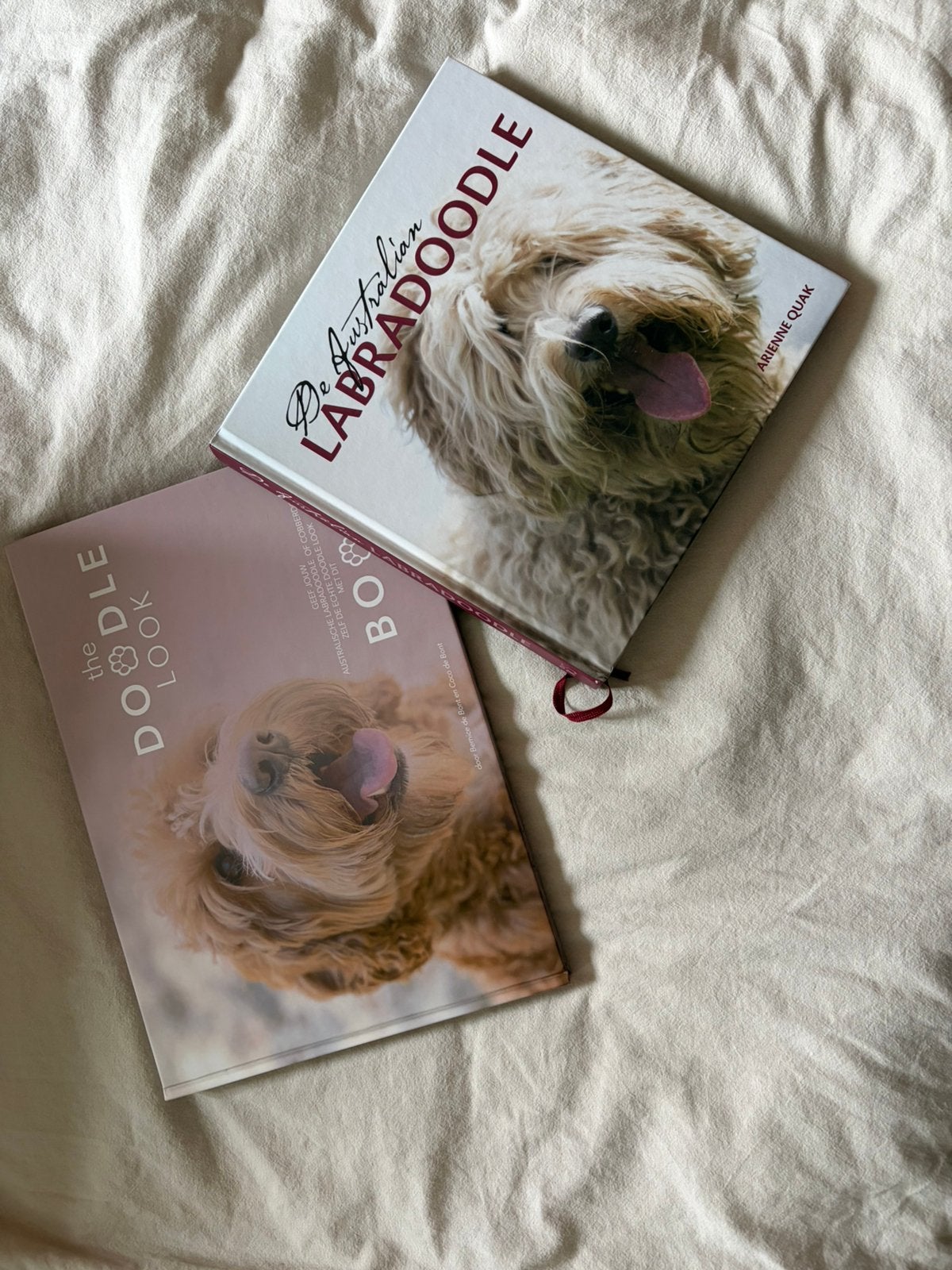 Boeken labradoodle, Ophalen of Verzenden, Zo goed als nieuw, Honden